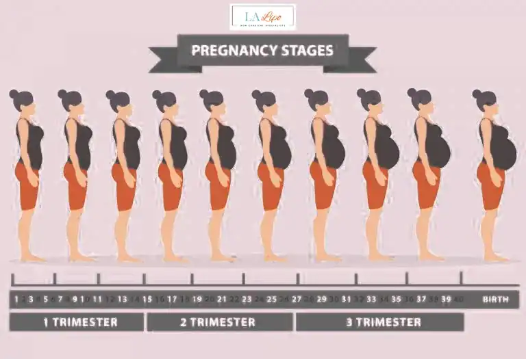 First Trimester (Weeks 1–12): Early Changes You Might Not Notice Bracknell
